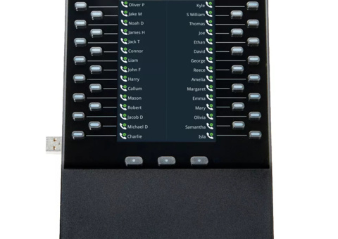 Expansion module - Poly VVX EM50, color display