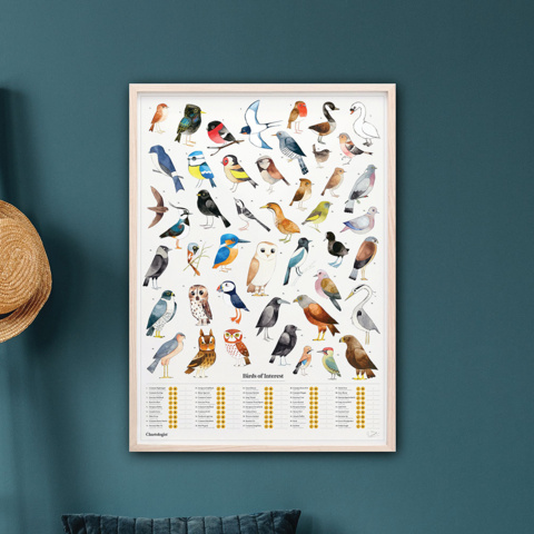 1531264-1 Posters 102 förpackningar - Garden Birds