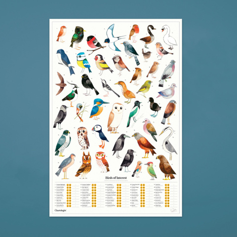 1531264-3 Posters 102 förpackningar - Garden Birds