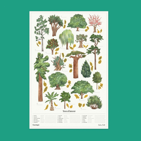 Posters 91 förpackningar - Trees of Interest