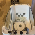 1549046-8 Dog Bath - Always Professional Grooming