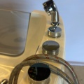 1549046-9 Dog Bath - Always Professional Grooming