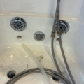 1549046-12 Dog Bath - Always Professional Grooming