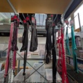 1256121-2 Leashes, harnesses etc.