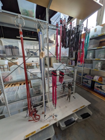 1256121-3 Leashes, harnesses etc.