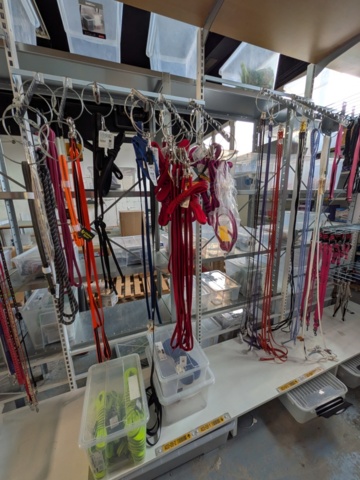 1256121-4 Leashes, harnesses etc.