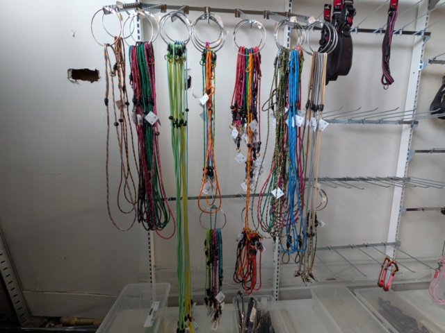 1256121-19 Leashes, harnesses etc.