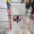 1256121-23 Leashes, harnesses etc.