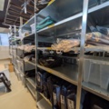 1256127-15 Saddle pads, horse blankets, reflective accessories etc.