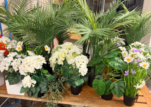 Collection of artificial plants and flowers