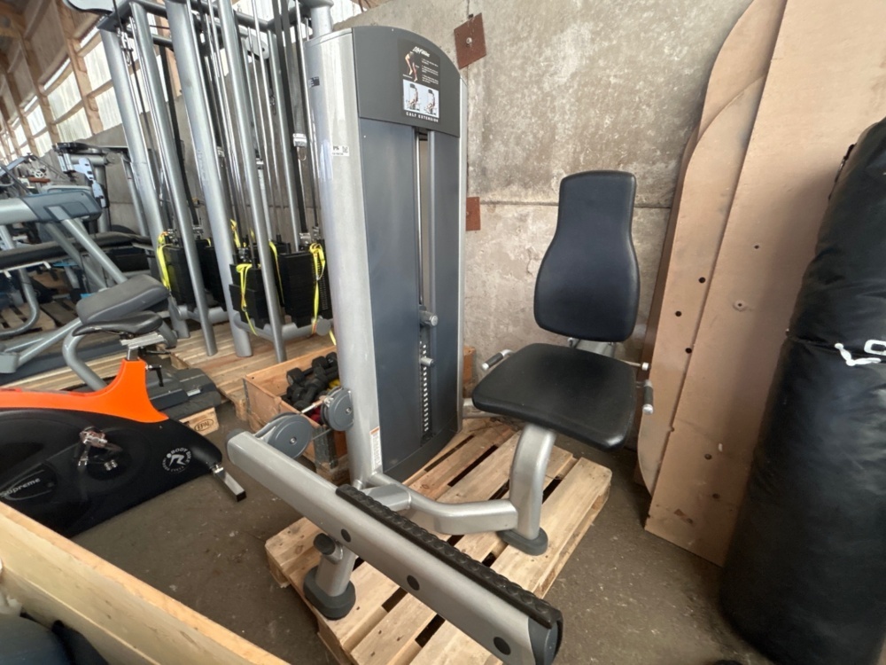 1519238-1 Vadpress / Calf Extension - Life Fitness