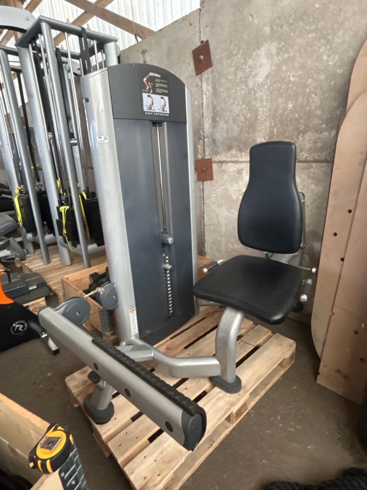 1519238-2 Vadpress / Calf Extension - Life Fitness