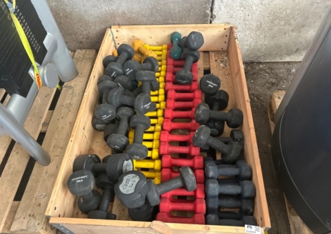 Collection of dumbbells
