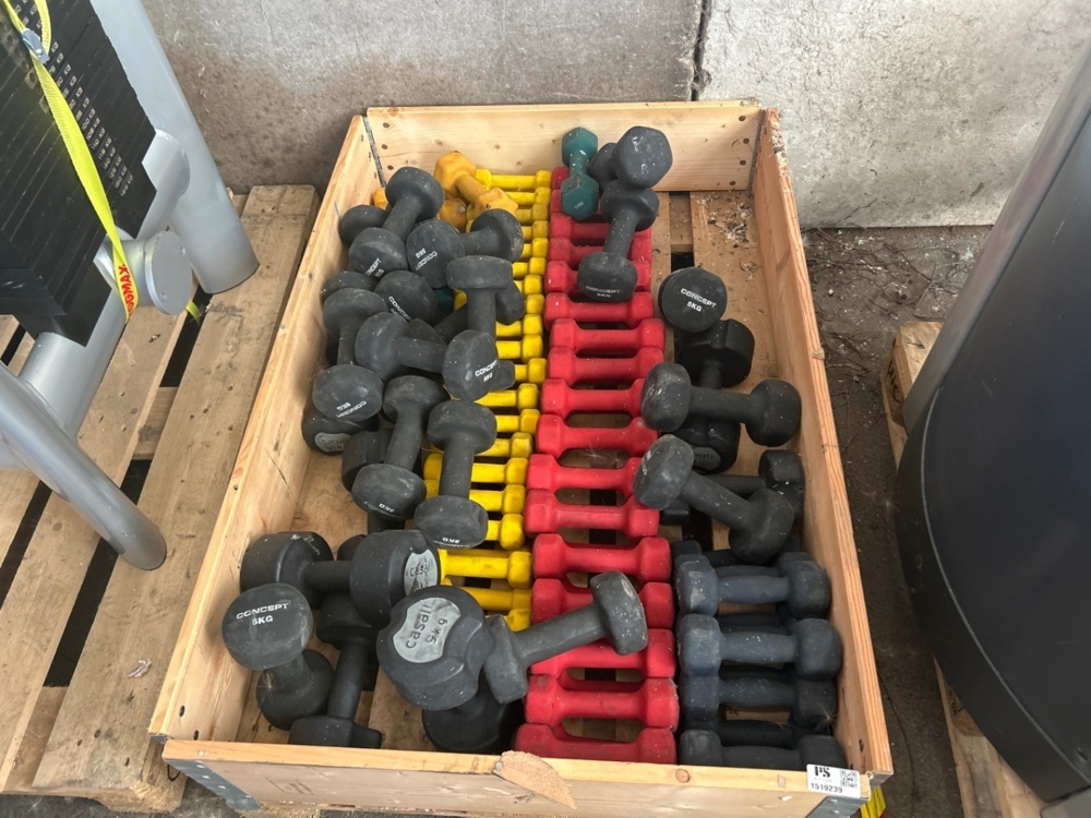 1519239-1 Collection of dumbbells