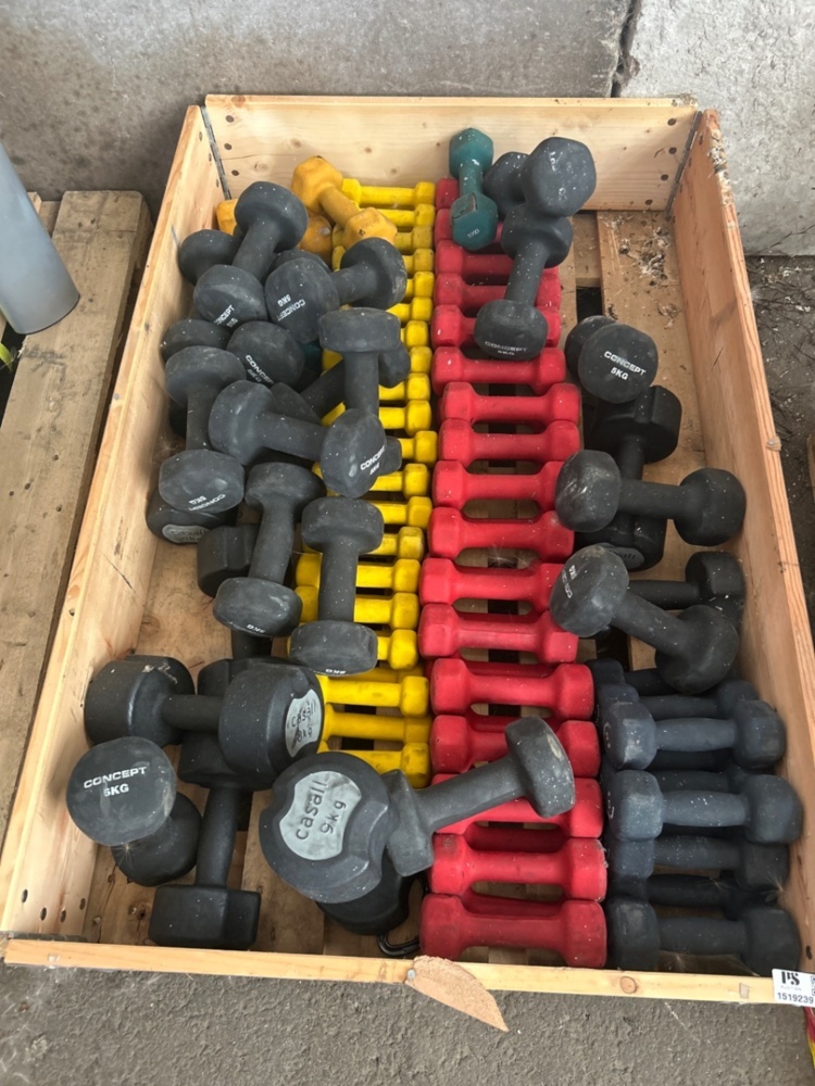 1519239-2 Collection of dumbbells