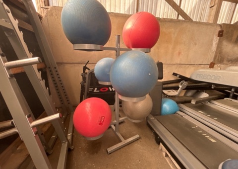 Exercise ball rack - Precor