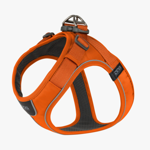 1256120-1 Harness, collar etc. for dogs