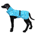 1256123-17 Dog clothes, harnesses etc.