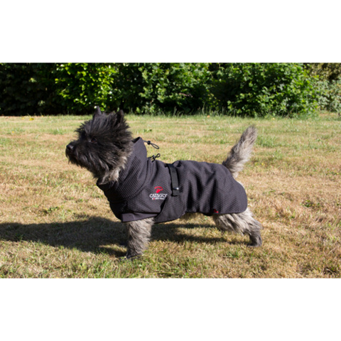 1256123-19 Dog clothes, harnesses etc.
