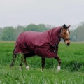 1256125-1 Horse blankets, riding clothes, shoes, boots, etc.
