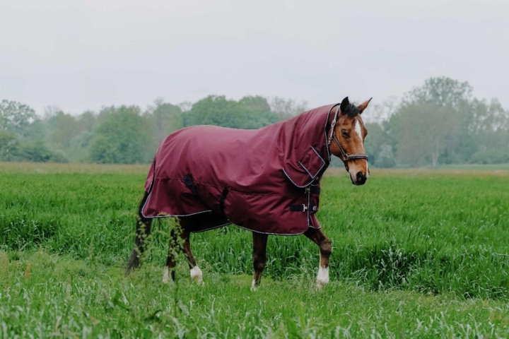1256125-1 Horse blankets, riding clothes, shoes, boots, etc.