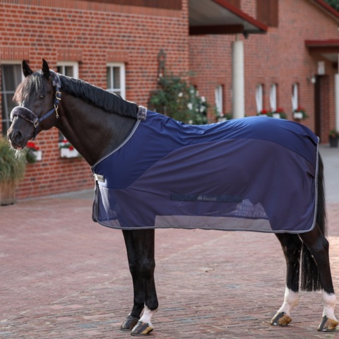 1256125-14 Horse blankets, riding clothes, shoes, boots, etc.
