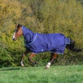 1256125-15 Horse blankets, riding clothes, shoes, boots, etc.