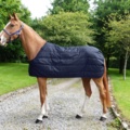 1256125-16 Horse blankets, riding clothes, shoes, boots, etc.