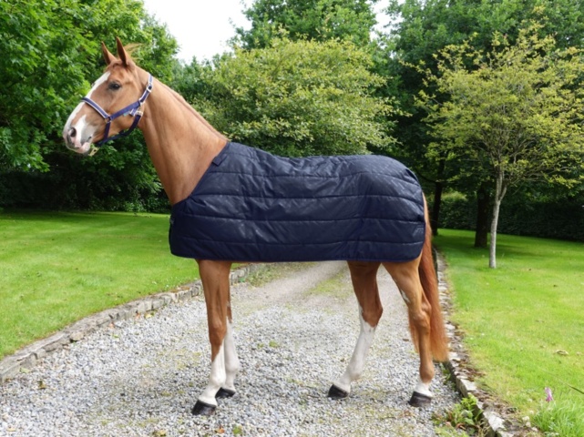 1256125-16 Horse blankets, riding clothes, shoes, boots, etc.