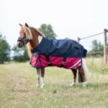 1256127-2 Saddle pads, horse blankets, reflective accessories etc.