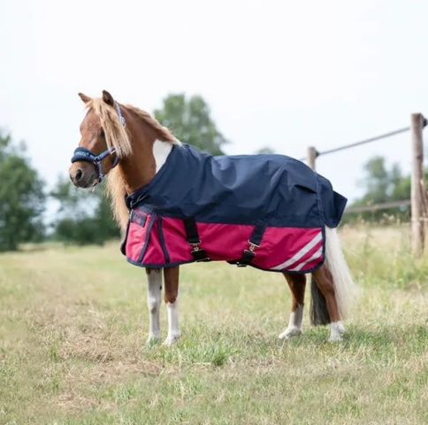 1256127-2 Saddle pads, horse blankets, reflective accessories etc.