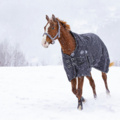 1256127-4 Saddle pads, horse blankets, reflective accessories etc.