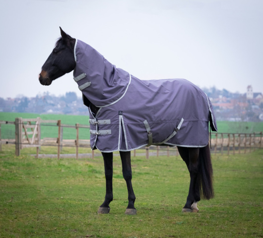 1256127-1 Saddle pads, horse blankets, reflective accessories etc.