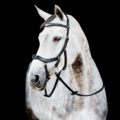1256128-26 Grimmor, sadelgjordar, bett m.m.
