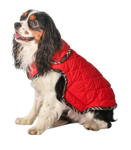 1256137-11 Blandade tillbehör för hund och häst, leksaker