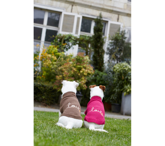 1256137-12 Blandade tillbehör för hund och häst, leksaker