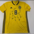 1308574-1 Signed football shirt Sweden -2018