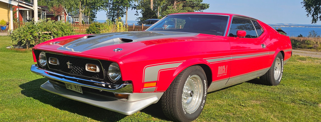 Bild som representerar auktionen - Ford Mustang Mach 1 5.8 V8 SelectShift, 170hk, 1972 - Svensksåld