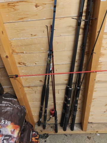 1485522-3 Fishing rods trolling rod 5 pcs - BFT and DAM