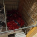1485527-22 Christmas decorations and Christmas accessories