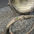 1570540-8 2 stage spotlights CE Source Four PARnel-EA