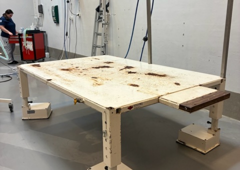 Air cushion table for standing horses - Ab Solving Oy - 2012