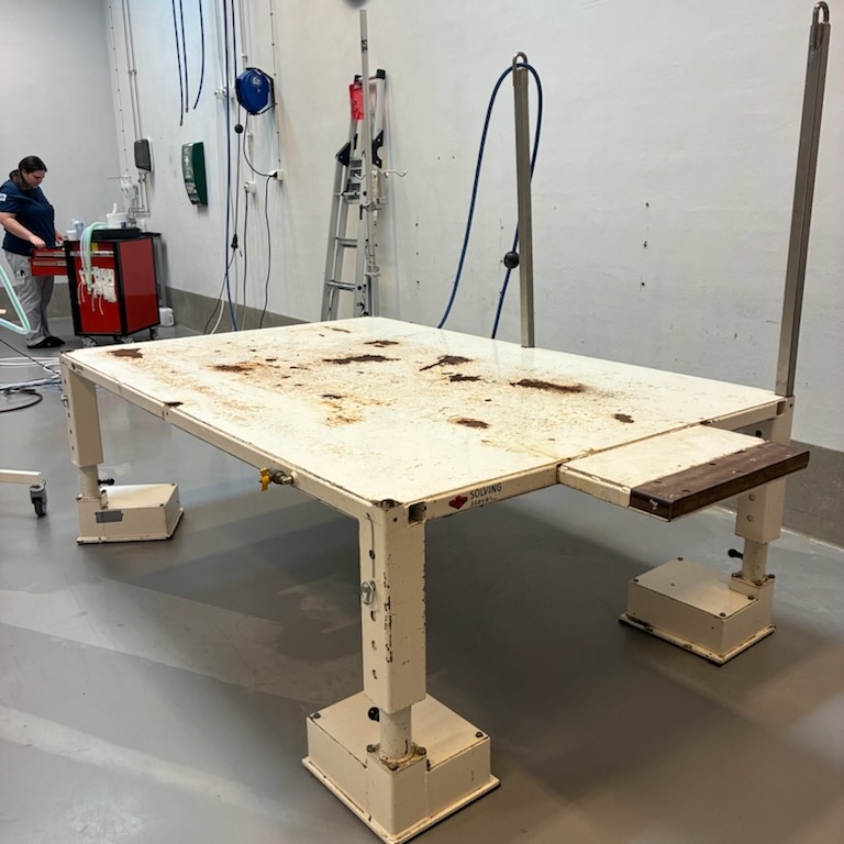 1453387-1 Air cushion table for standing horses - Ab Solving Oy - 2012