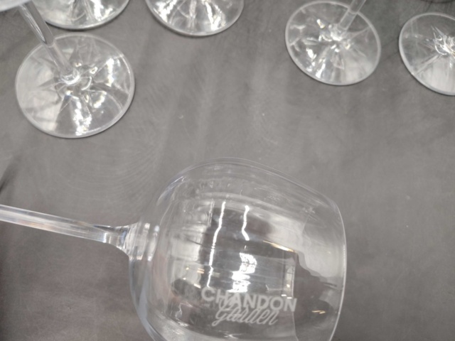 1571377-3 Champagneglas, 22 st - Chandon Garden, transparent plast, 20 cm