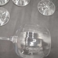 1571378-2 Champagneglas, 22 st - Chandon Garden, transparent plast, 20 cm