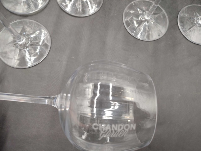 1571378-2 Champagneglas, 22 st - Chandon Garden, transparent plast, 20 cm