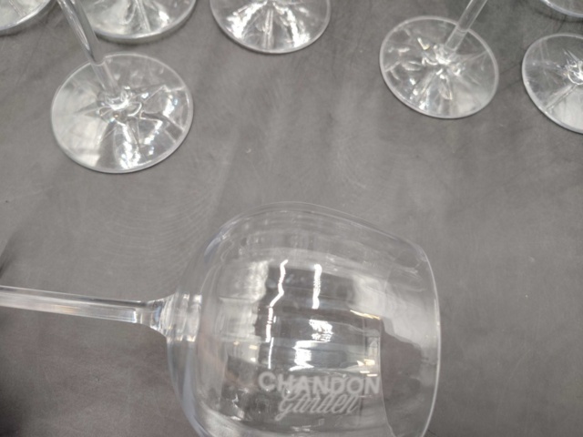 1571380-2 Champagneglas, 22 st - Chandon Garden, transparent plast, 20 cm