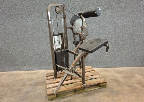 Ländryggsmaskin, Cybex