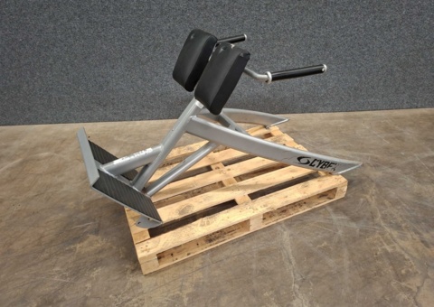 Ryggresningsbänk / Back extension, Cybex