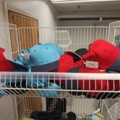 1485724-2 Lot of clothes, shoes, etc.